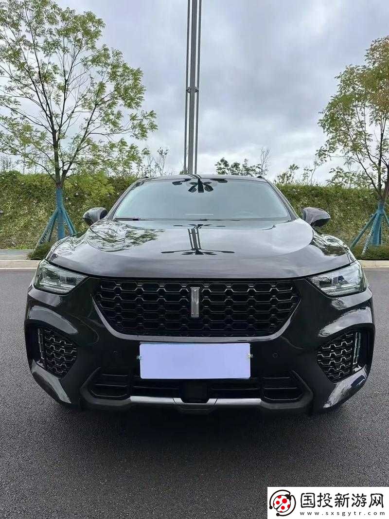 WeyVV5-國產(chǎn)-SUV-視頻：暢享卓越駕駛體驗