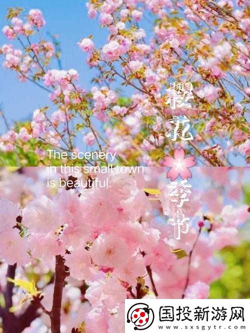 請(qǐng)用你的手打擾我櫻花：一場(chǎng)浪漫的櫻花邂逅