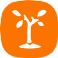 小樹(shù)易選