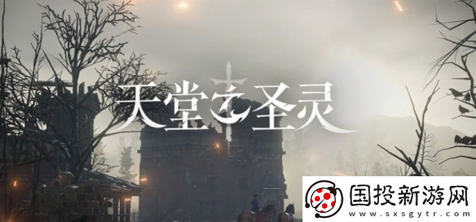 天堂之圣靈手游什么職業(yè)厲害：戰(zhàn)斗體驗(yàn)-盡情享受