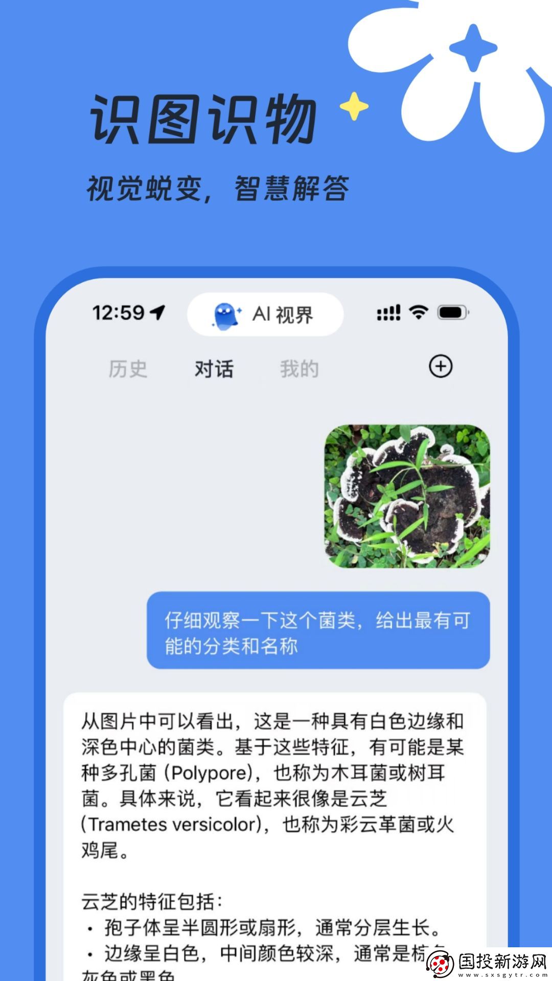 AI視界