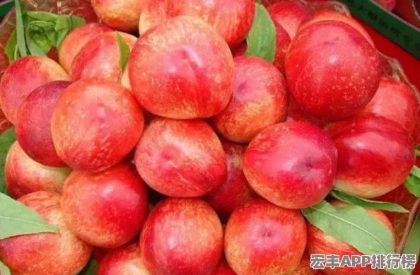 和平精英SS22賽季開啟時(shí)間揭曉：預(yù)計(jì)3月27日迎接全新田園風(fēng)格主題