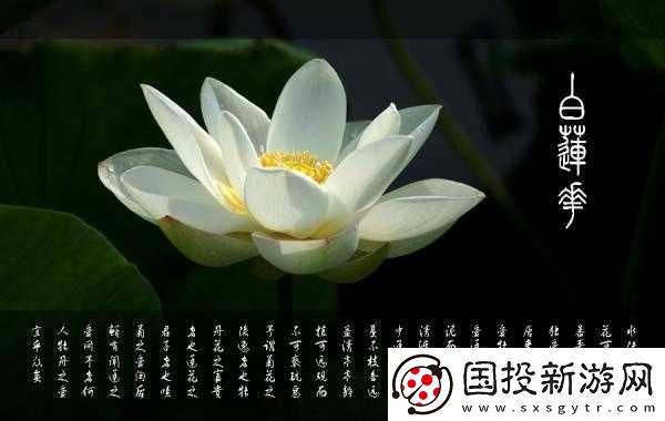 女人晚上蓮花開(kāi)放害處大揭秘