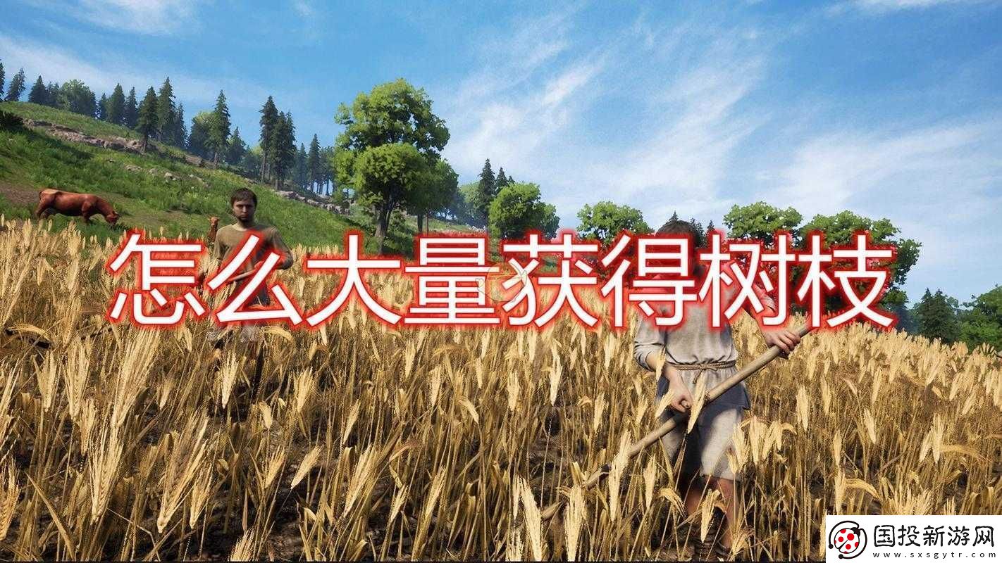 中世紀王朝樹枝獲取攻略：實用技巧分享