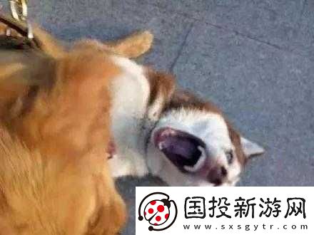 把你摁在地上摩擦怎么回復(fù)才合適：實用技巧分享