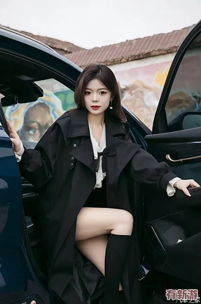 神木麗車牌stats—804封神：用戶評價稱其性能卓越-外觀時尚-駕駛體驗極佳-讓人愛不釋手！