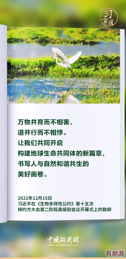 美國(guó)歐洲日本中國(guó)的文化差異：各具特色-百花齊放-和諧共生之道