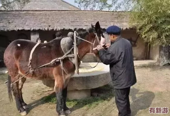 海角小馬大車