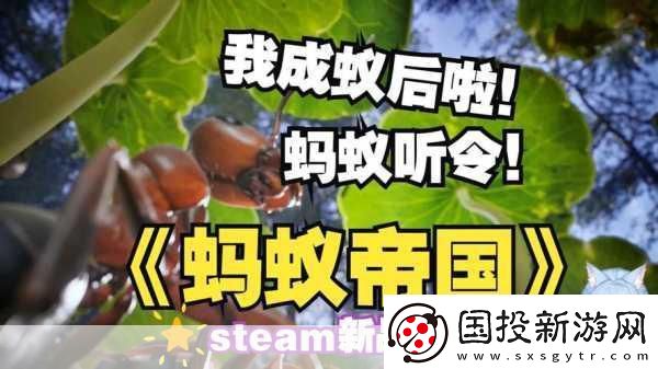 獨(dú)家揭秘Steam新寵Ant-Colony:-Wild-Forest——螞蟻帝國的策略盛宴！