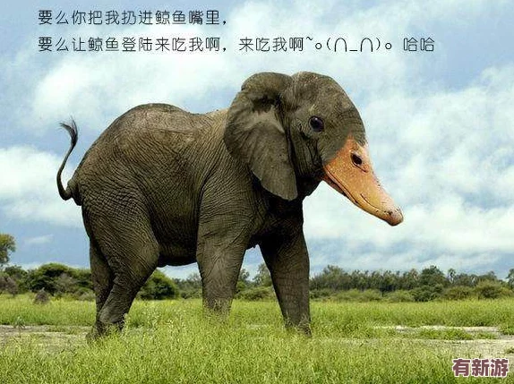 剛?cè)胨杏X(jué)巨大的東西在動(dòng)狗-夢(mèng)幻般的奇遇讓人驚嘆不已-腦海中浮現(xiàn)無(wú)數(shù)奇妙場(chǎng)景